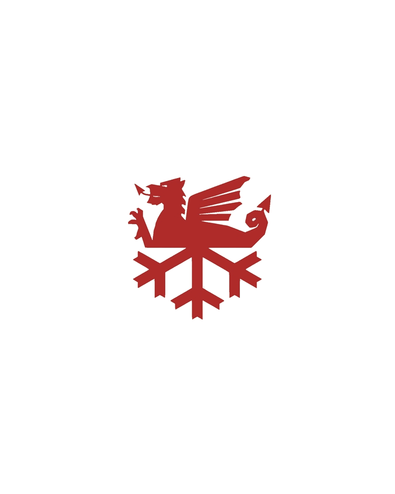 Cardiff Snowsports Temporary Tattoos