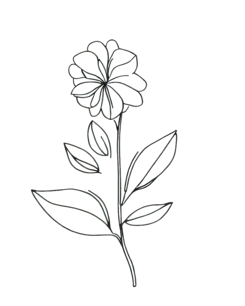 Aster wildflower temporary tattoo