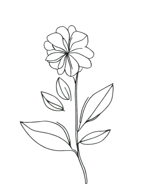 Aster wildflower temporary tattoo